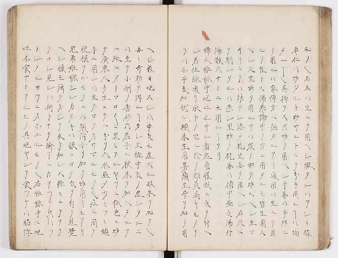 K0073s0031