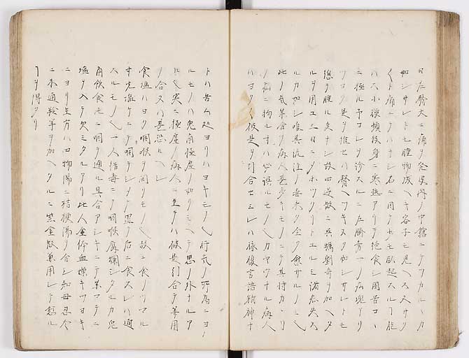 K0073s0039