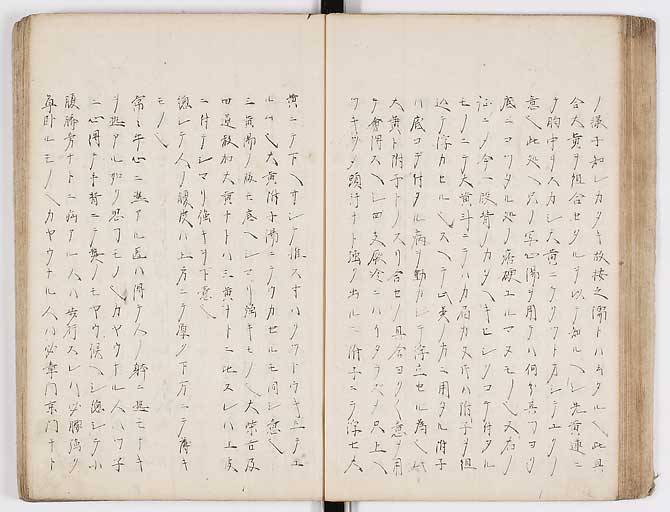 K0073s0041