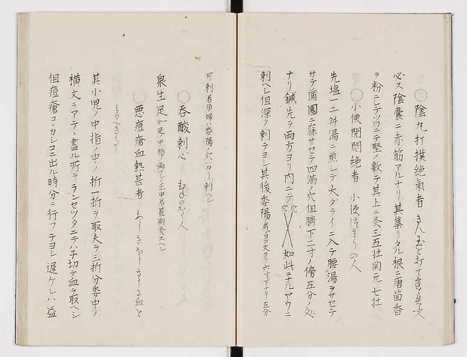 K0074s0019