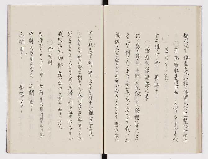 K0074s0036