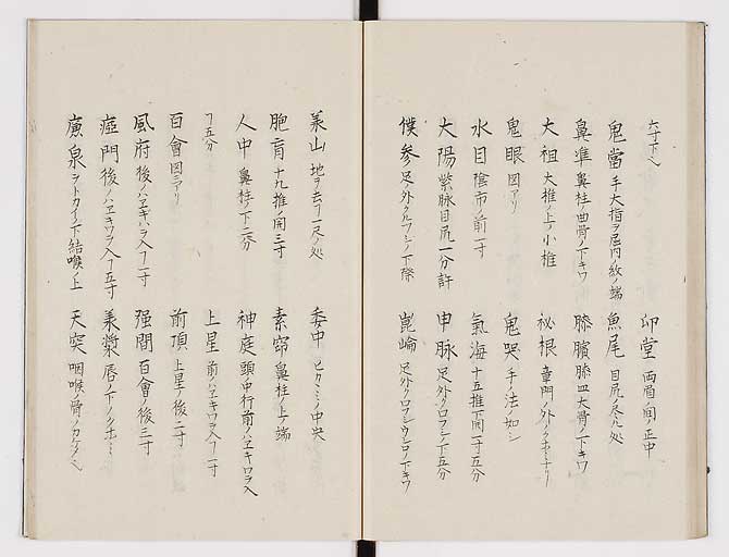 K0074s0038