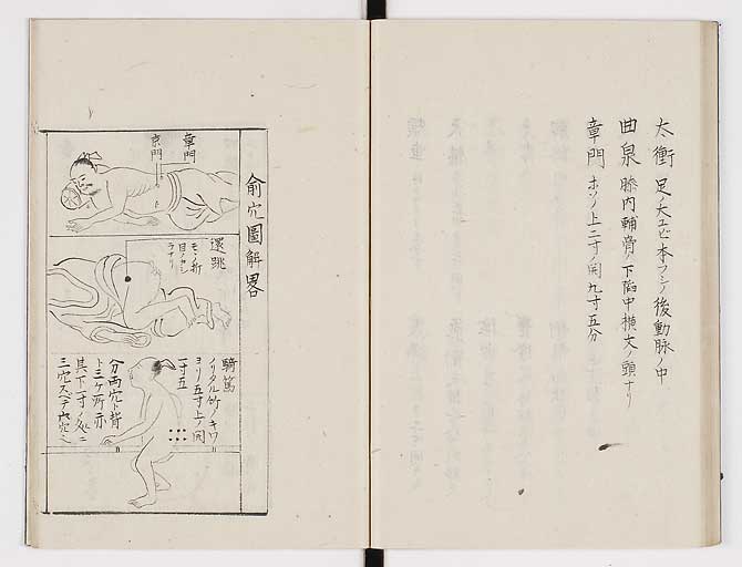 K0074s0041