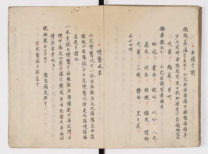 K0077s0101