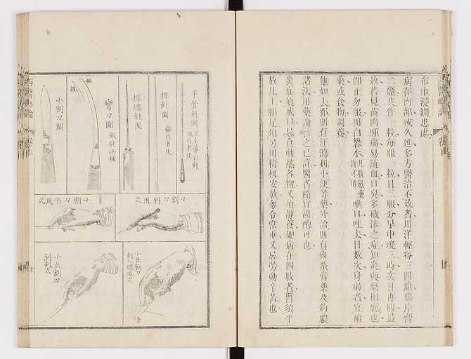 K0079s0019