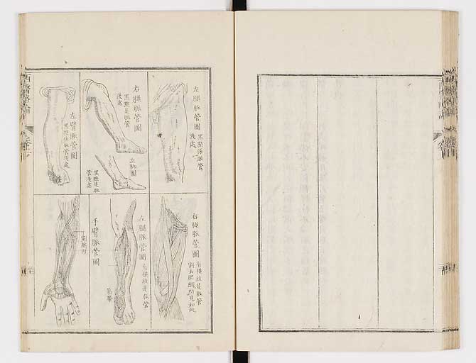 K0079s0043