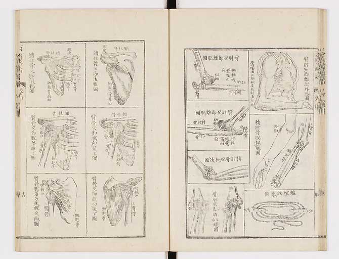 K0079s0091