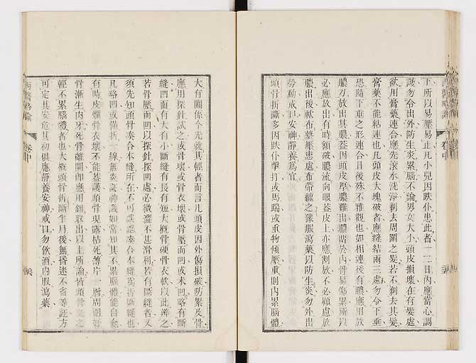 K0079s0100
