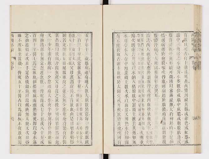 K0079s0110
