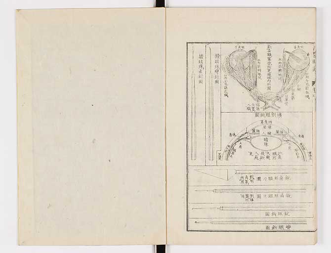 K0079s0116