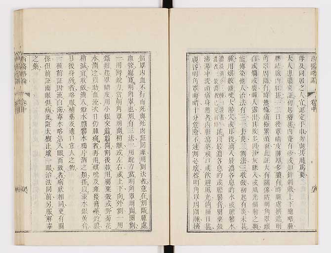 K0079s0124