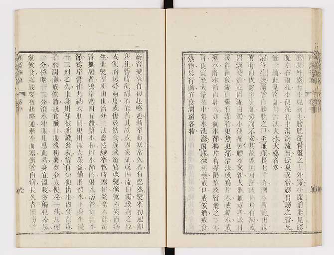 K0079s0161