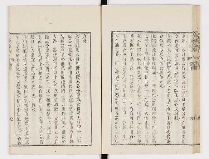 K0079s0171