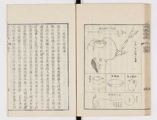 K0079s0175