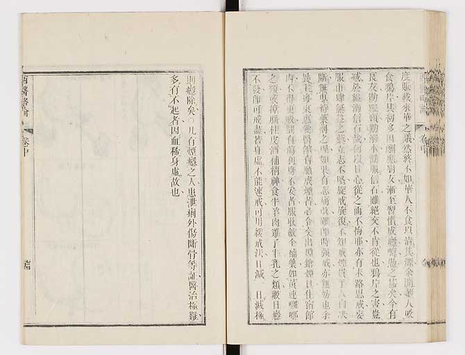 K0079s0176