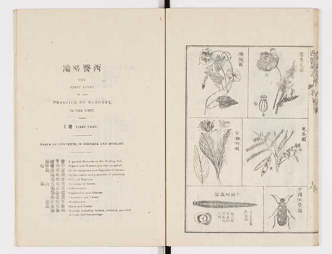 K0079s0202