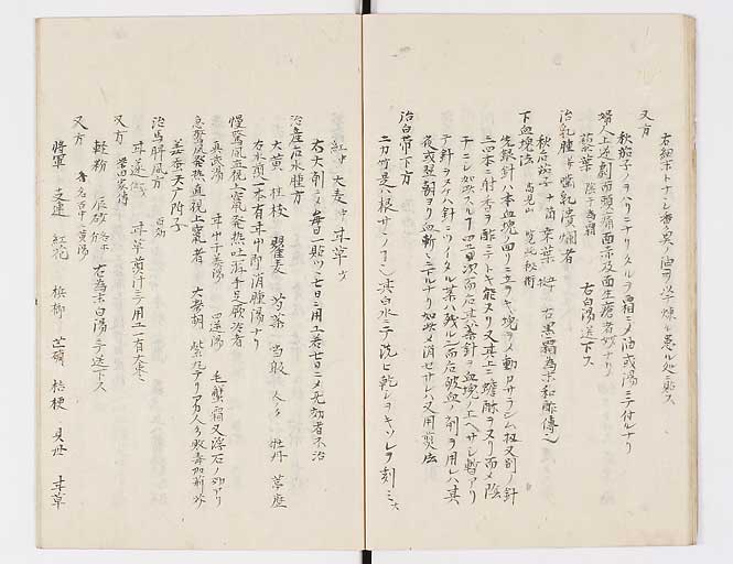 K0080s0018