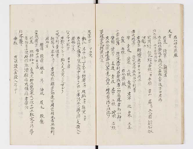 K0080s0019