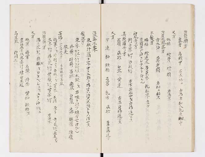 K0080s0020