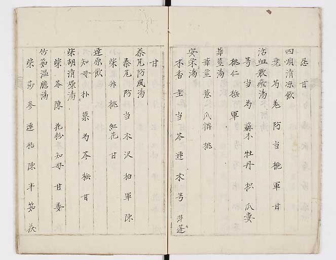 K0081s0009