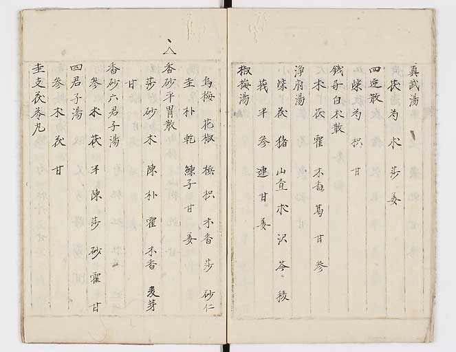 K0081s0011