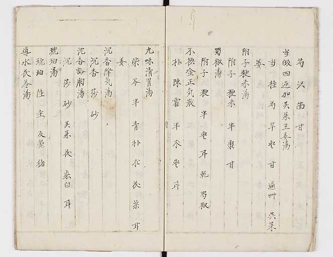 K0081s0013