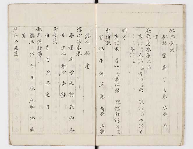 K0081s0016