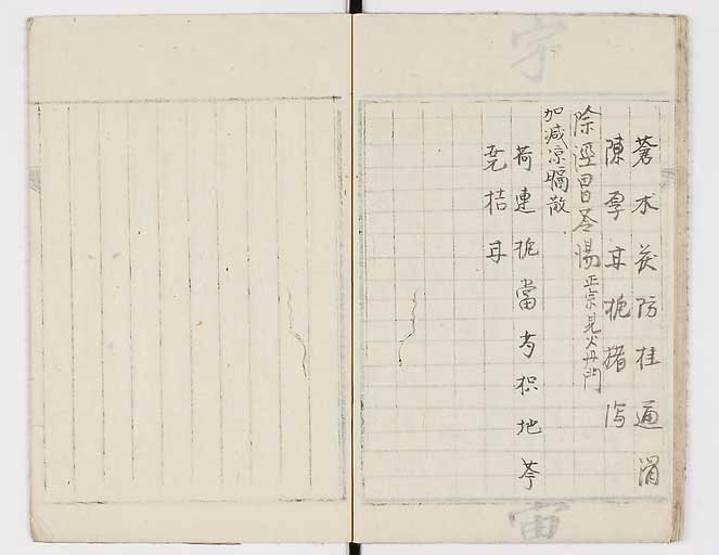 K0081s0019
