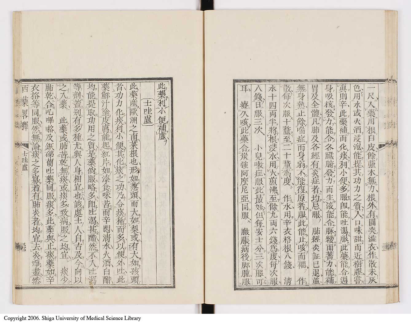 K0082l0037