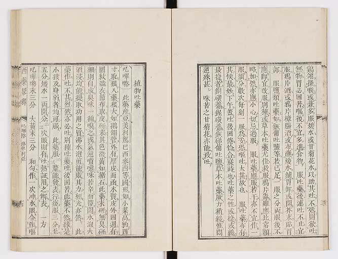 K0082s0018