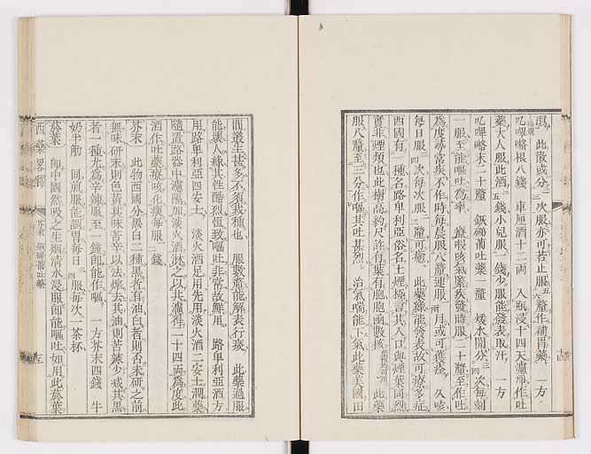 K0082s0019