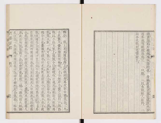 K0082s0066