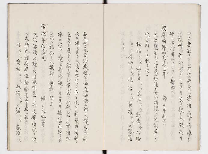 K0084s0010