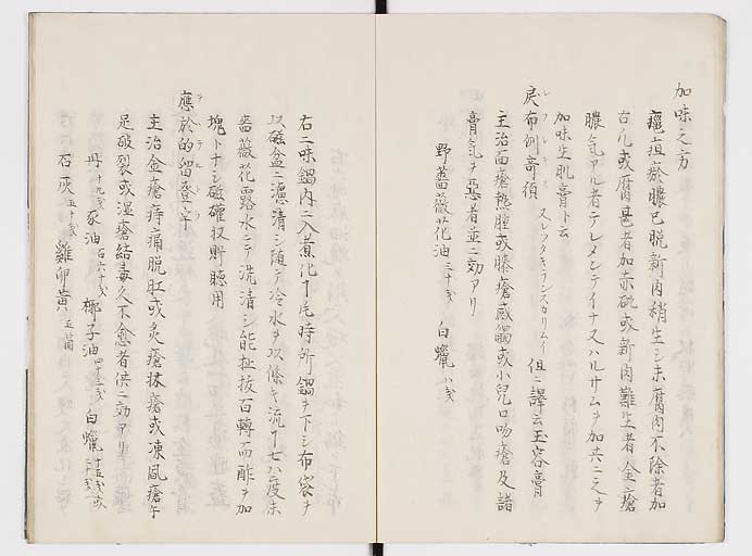 K0084s0013