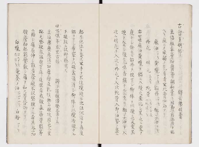K0084s0017