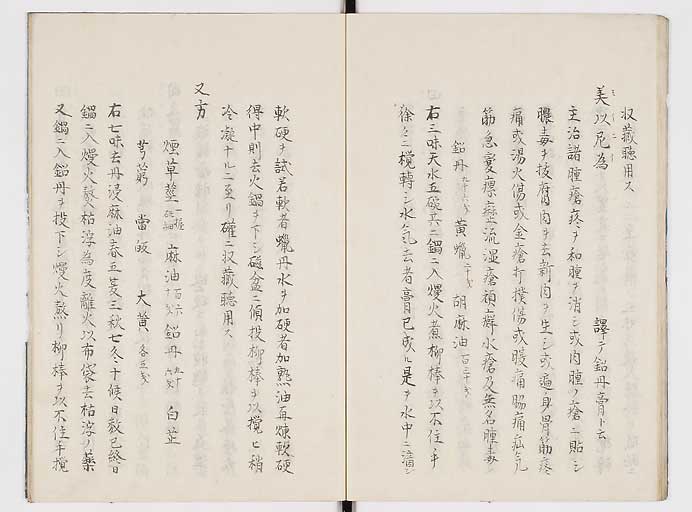 K0084s0019
