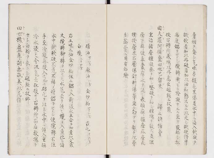 K0084s0020