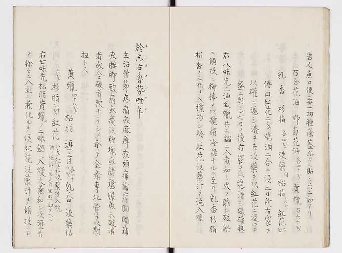 K0084s0022
