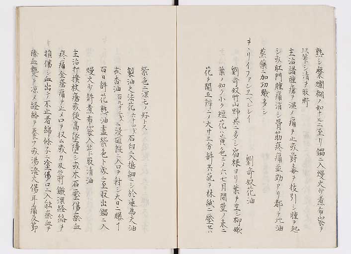 K0085s0004