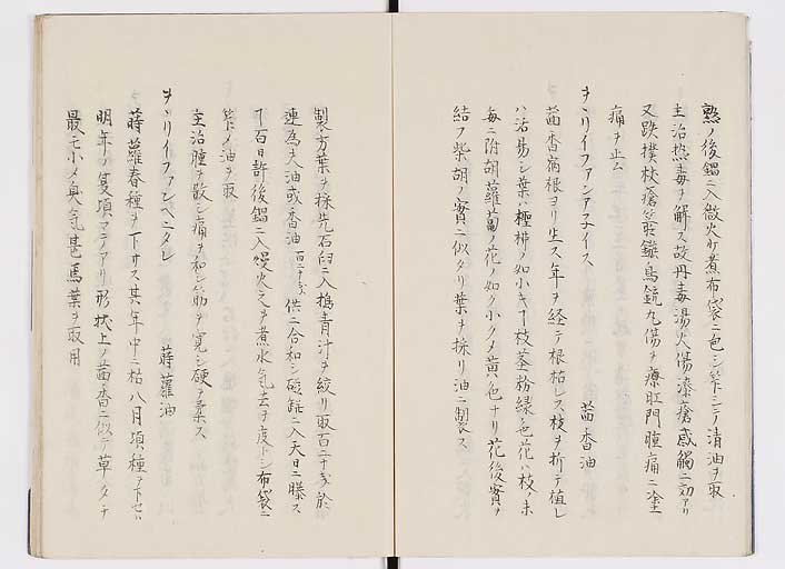 K0085s0006