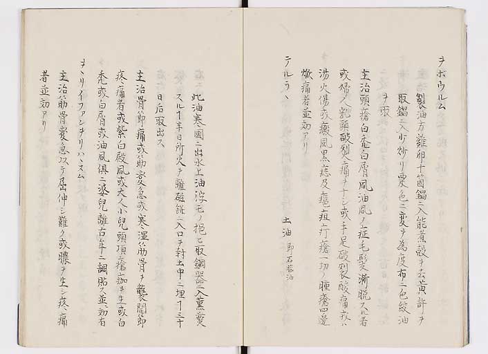 K0085s0010