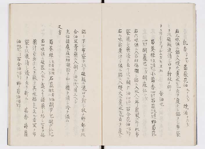 K0085s0011