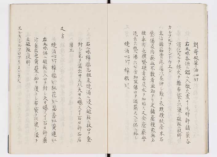 K0085s0014