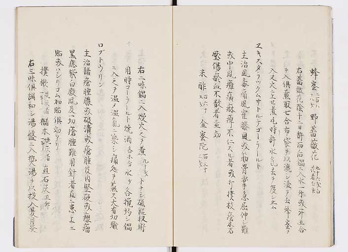 K0085s0016