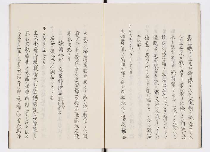 K0085s0017