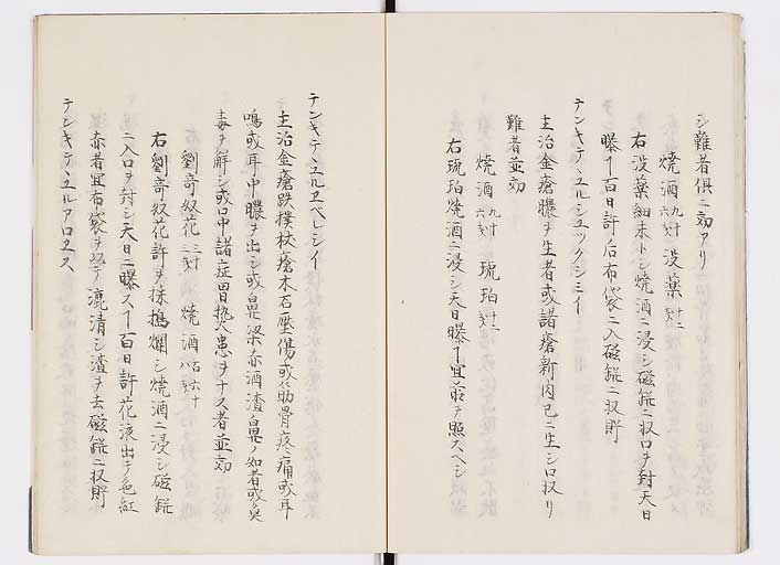 K0085s0018