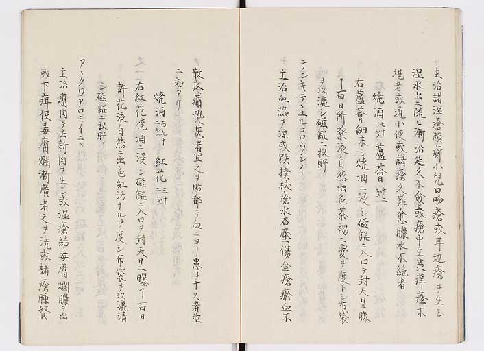 K0085s0019