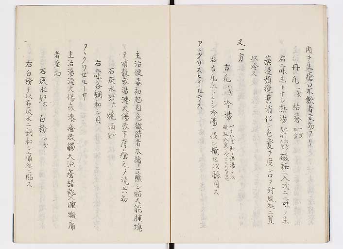K0085s0020