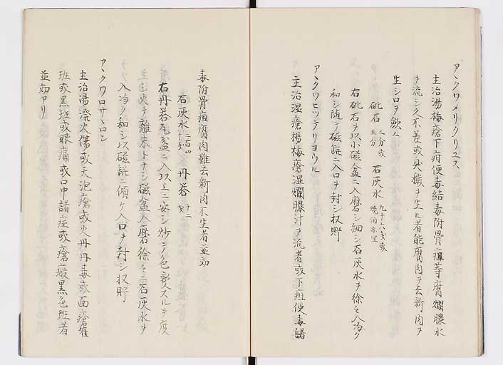 K0085s0021