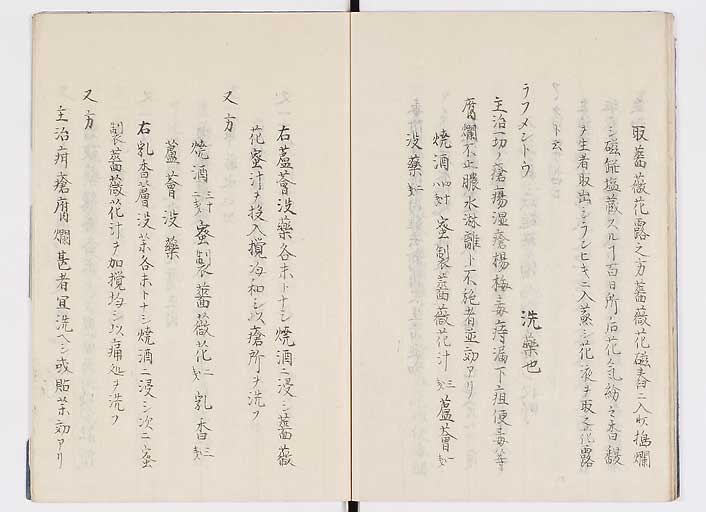 K0085s0022